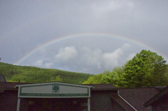 Rainbows, love and light over Seva NY